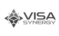 Visa Synergy